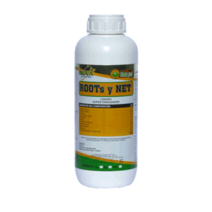 ROOTS y NETS